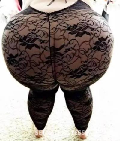 28 year old Escort in Albany NY HIGHLY ADDICTIVE TOP RATED SOUL SNATCHING BBW ‼ (Edison