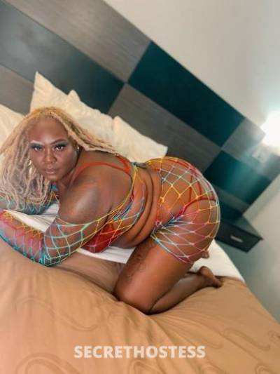 Amazon 24Yrs Old Escort 190CM Tall San Antonio TX Image - 3
