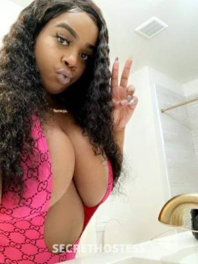 EgyptStar 23Yrs Old Escort Biloxi MS Image - 0