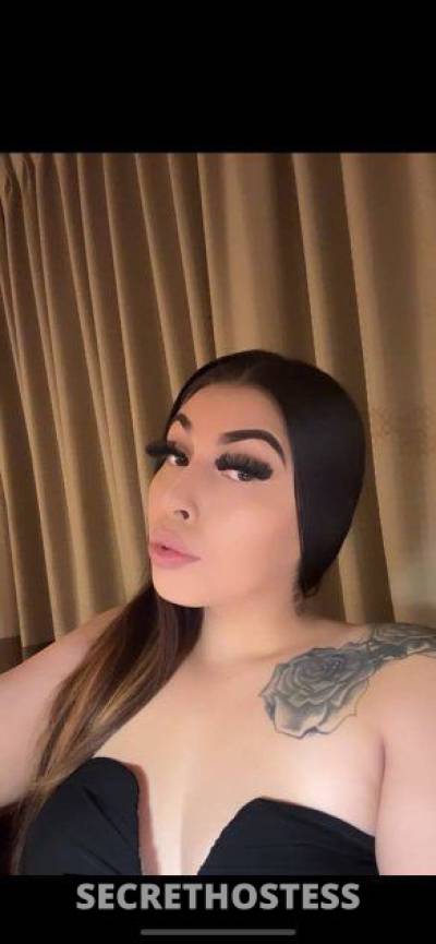 22 year old Hispanic Escort in Sacramento CA Come talk to me