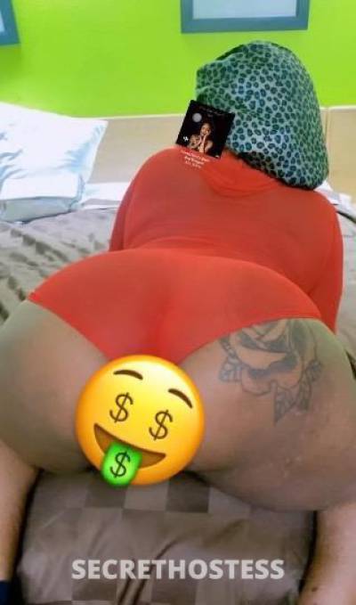 Kash 22Yrs Old Escort Memphis TN Image - 9