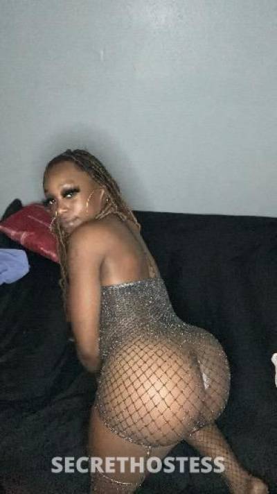 KreamyTreasure 24Yrs Old Escort Houston TX Image - 0