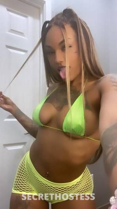 Lacey 23Yrs Old Escort Dallas TX Image - 2