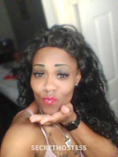 MoneyBabii 37Yrs Old Escort Tri-Cities TN Image - 2