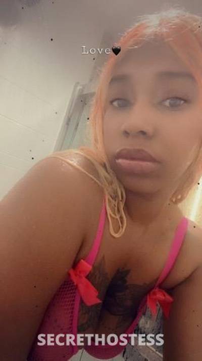 Spice 27Yrs Old Escort Milwaukee WI Image - 0