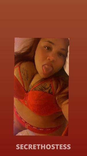 Brandi 25Yrs Old Escort Long Beach CA Image - 0