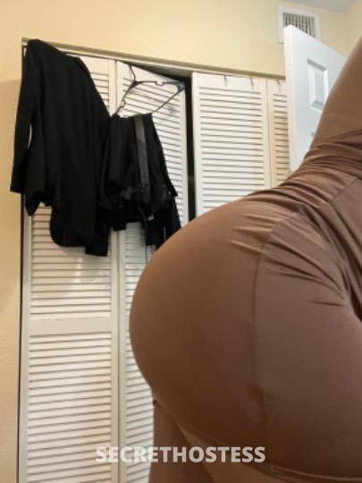 Melisa 27Yrs Old Escort Fort Lauderdale FL Image - 3