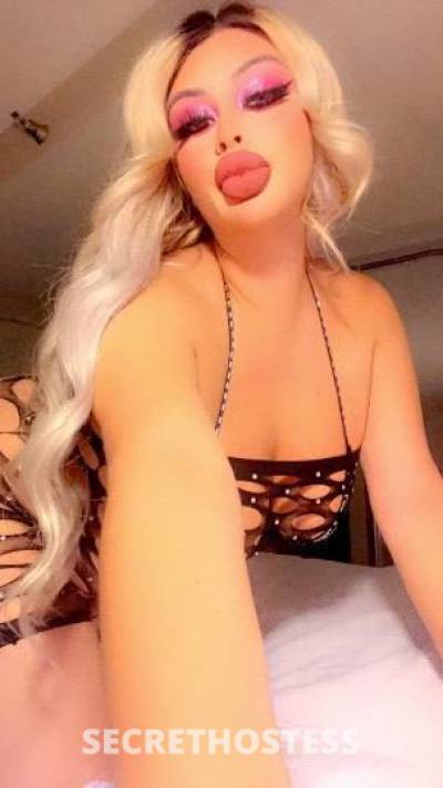 23Yrs Old Escort North Bay CA Image - 1