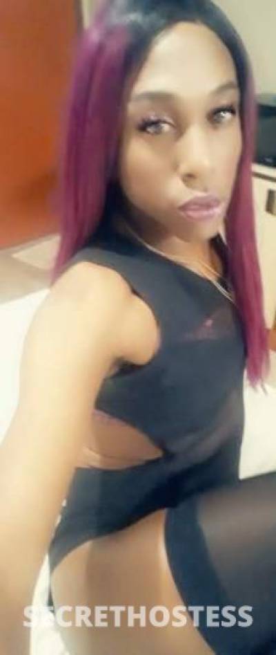 24Yrs Old Escort Memphis TN Image - 0