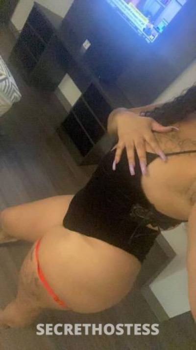 26Yrs Old Escort Dallas TX Image - 2