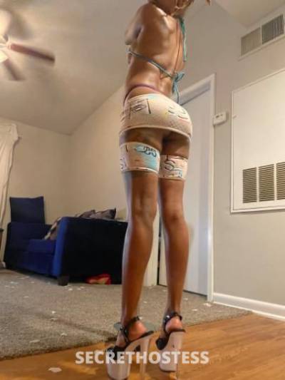 27Yrs Old Escort Houston TX Image - 0