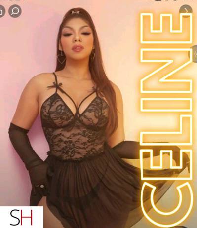 29Yrs Old Escort Cambridge Image - 5