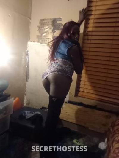 42Yrs Old Escort Memphis TN Image - 3