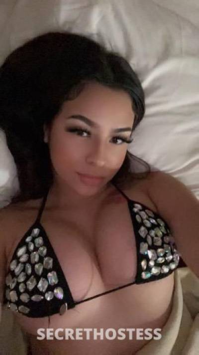 AngelinaLexington 21Yrs Old Escort San Jose CA Image - 2