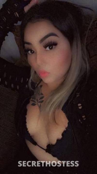 Ashley 23Yrs Old Escort Los Angeles CA Image - 0