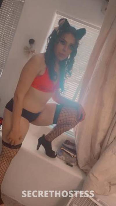 Babygirl 29Yrs Old Escort Tucson AZ Image - 2