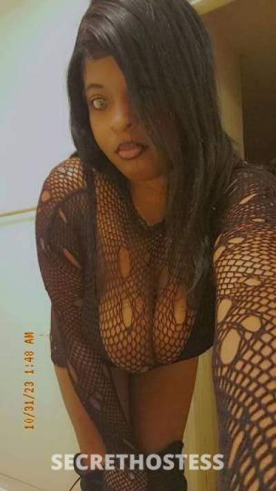 Bambi 27Yrs Old Escort Baton Rouge LA Image - 0