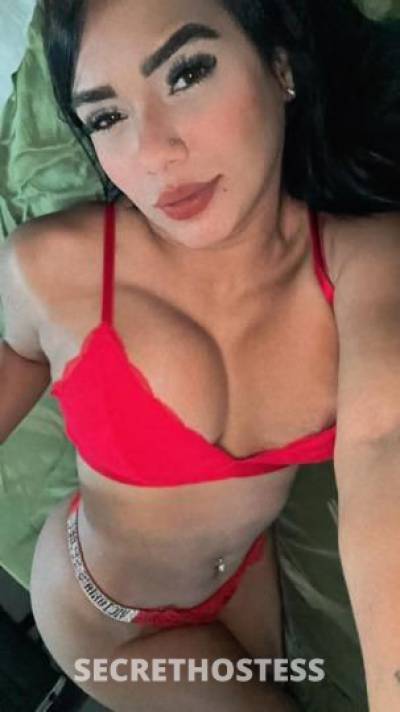 24 year old Latino Escort in Savannah GA ?️?video real ??️carolina la latina mas buenota