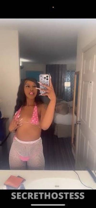 Dime 18Yrs Old Escort North Bay CA Image - 4