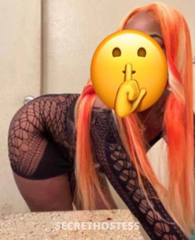 HONEY 20Yrs Old Escort Shreveport LA Image - 1