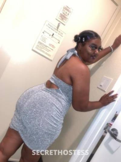21 year old Escort in San Fernando Valley CA ??Perfect Ass?Clean Pussy?No Games ?Need a Regular Also 