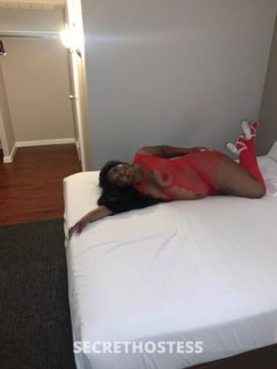 21 year old Escort in San Fernando Valley CA Available for incall