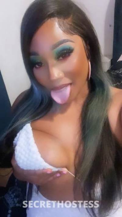 Lexiy 27Yrs Old Escort Concord CA Image - 11