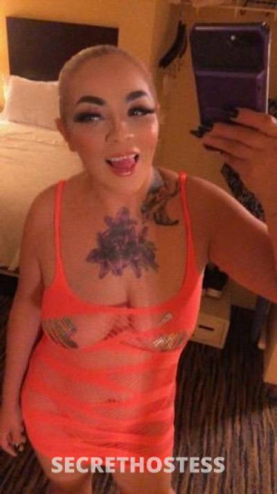 Paradise 25Yrs Old Escort Denver CO Image - 3