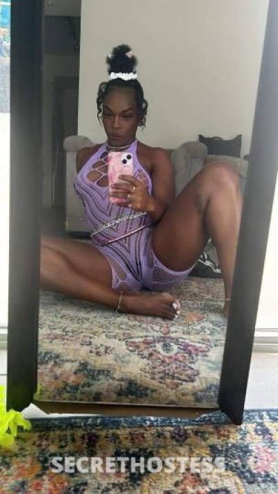 SHORTY 27Yrs Old Escort Miami FL Image - 1