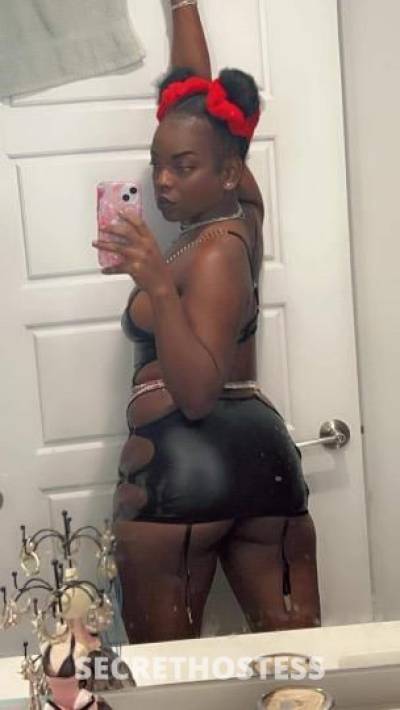 SHORTY 27Yrs Old Escort Miami FL Image - 4