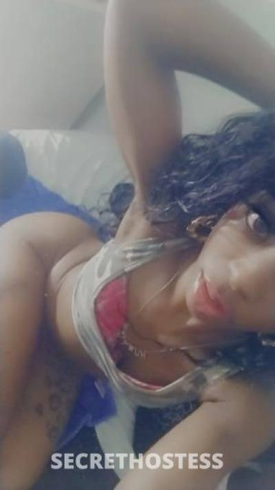 SHYNE 21Yrs Old Escort Fort Lauderdale FL Image - 4