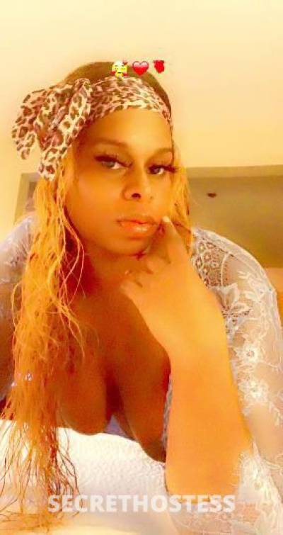 STALLY 27Yrs Old Escort Mohave County AZ Image - 2