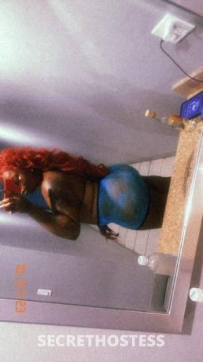 Safari 27Yrs Old Escort Denver CO Image - 0