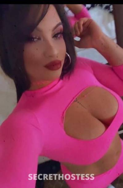 Sophie 24Yrs Old Escort San Jose CA Image - 4