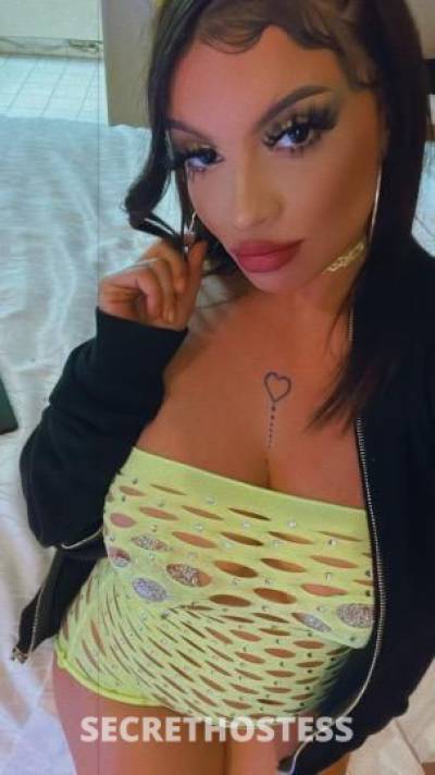 Sophie 24Yrs Old Escort San Jose CA Image - 6