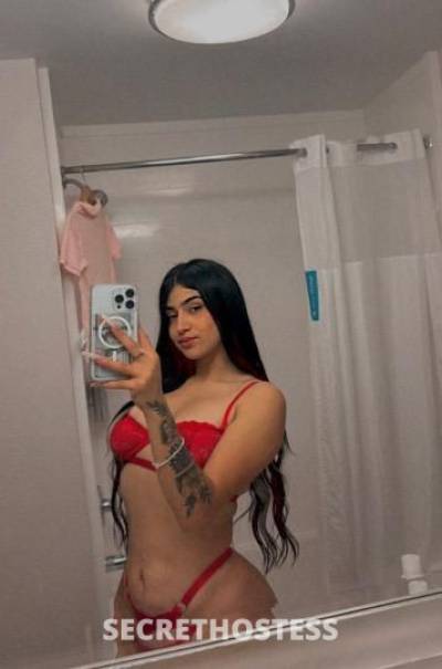 luna 20Yrs Old Escort Northern Virginia DC Image - 5