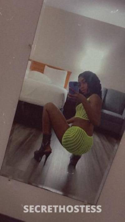 24Yrs Old Escort Dallas TX Image - 2