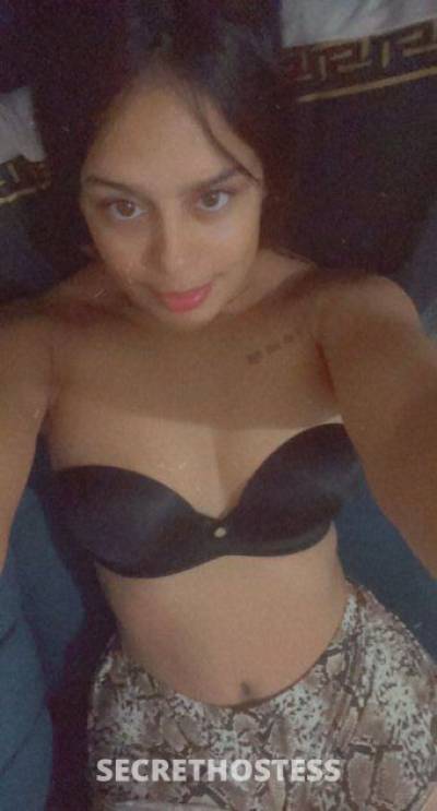 26Yrs Old Escort Sarasota / Bradenton FL Image - 2