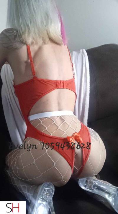 28Yrs Old Escort 167CM Tall Sault Ste Marie Image - 6