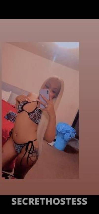 Amber 23Yrs Old Escort Hattiesburg MS Image - 2