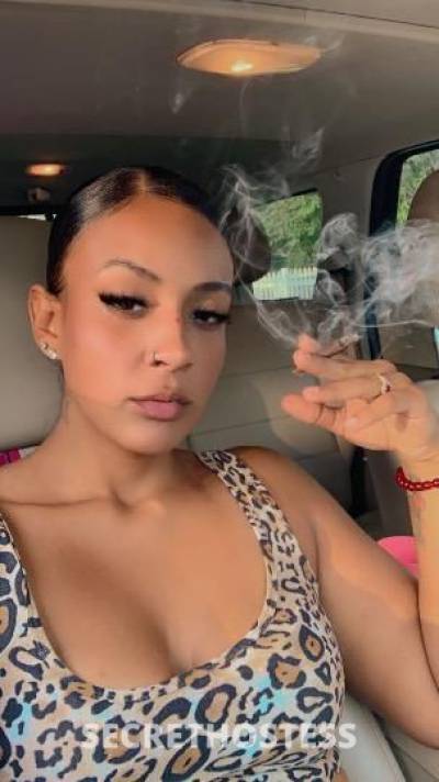 Cynthia 24Yrs Old Escort South Jersey NJ Image - 1