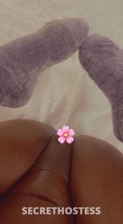 Givechy 21Yrs Old Escort Greenville SC Image - 1