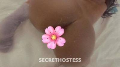 Givechy 21Yrs Old Escort Greenville SC Image - 3