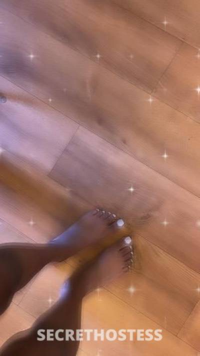 Lexii 23Yrs Old Escort Saint Louis MO Image - 3
