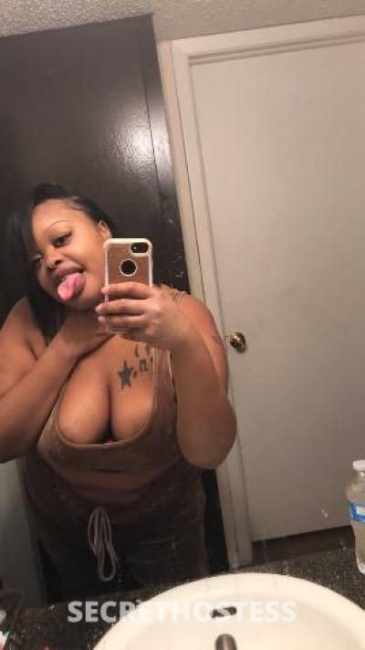 Morgan 25Yrs Old Escort Dallas TX Image - 8