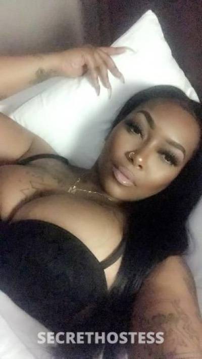 26 year old Escort in Norfolk VA ??new in town‼beautiful? caramel? cali big booty? 