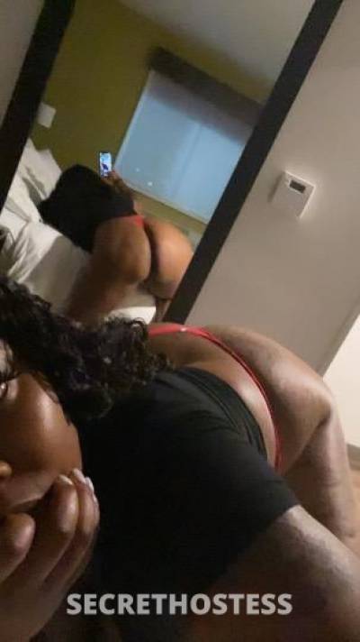 Mulan 26Yrs Old Escort Norfolk VA Image - 5