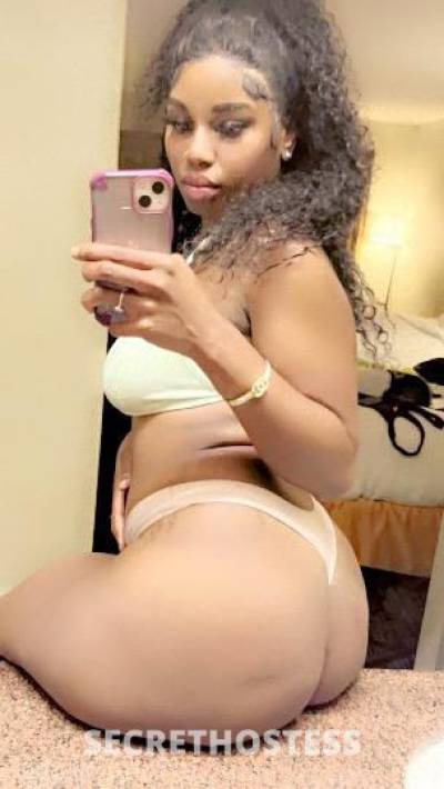 Sasha 25Yrs Old Escort Worcester MA Image - 1