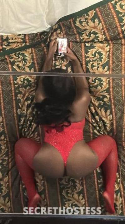 Stallion 24Yrs Old Escort Manhattan NY Image - 3