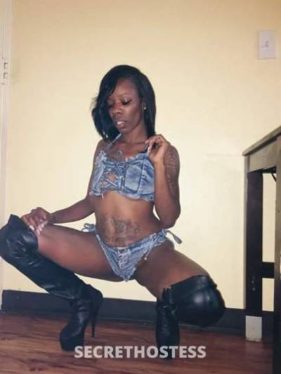 Star 26Yrs Old Escort Dallas TX Image - 3